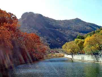 新澳天天开奖资料大全旅游团，电脑针织机